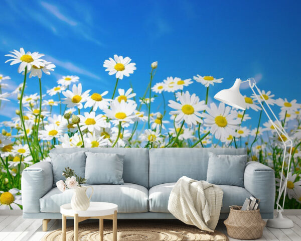 Wall murals Field of white and yellow flowers Carta da parati Wall murals Field of white and yellow flowers