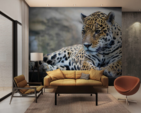 Leopardo sdraiato su una superficie di legno Carta da parati Leopardo sdraiato su una superficie di legno