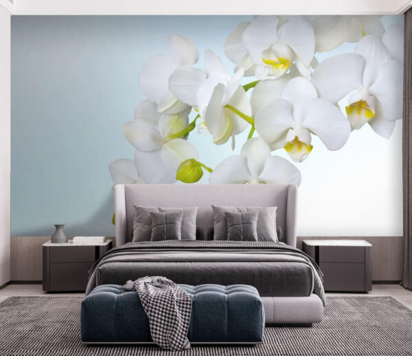 Orchidee bianche sull'acqua Carta da parati Orchidee bianche sull'acqua