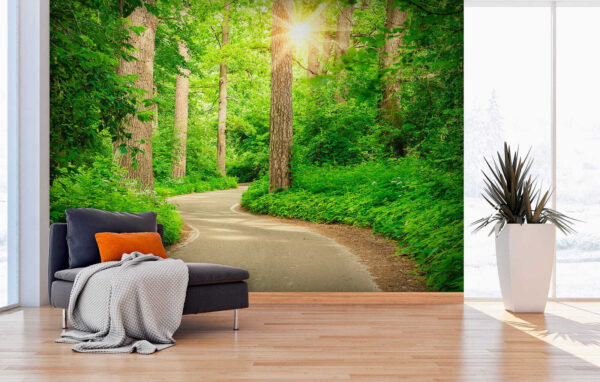 La luce del sole attraverso una foresta verde e rigogliosa Carta da parati La luce del sole attraverso una foresta verde e rigogliosa