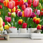 Carta da parati Gruppo di tulipani colorati