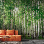 Carta da parati Gruppo di alberi con foglie verdi