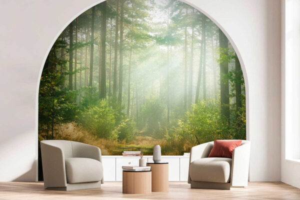 La luce del sole filtra attraverso gli alberi della foresta Carta da parati La luce del sole filtra attraverso gli alberi della foresta