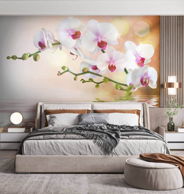 Orchidee che si riflettono su un'acqua tranquilla Carta da parati Orchidee che si riflettono su un'acqua tranquilla
