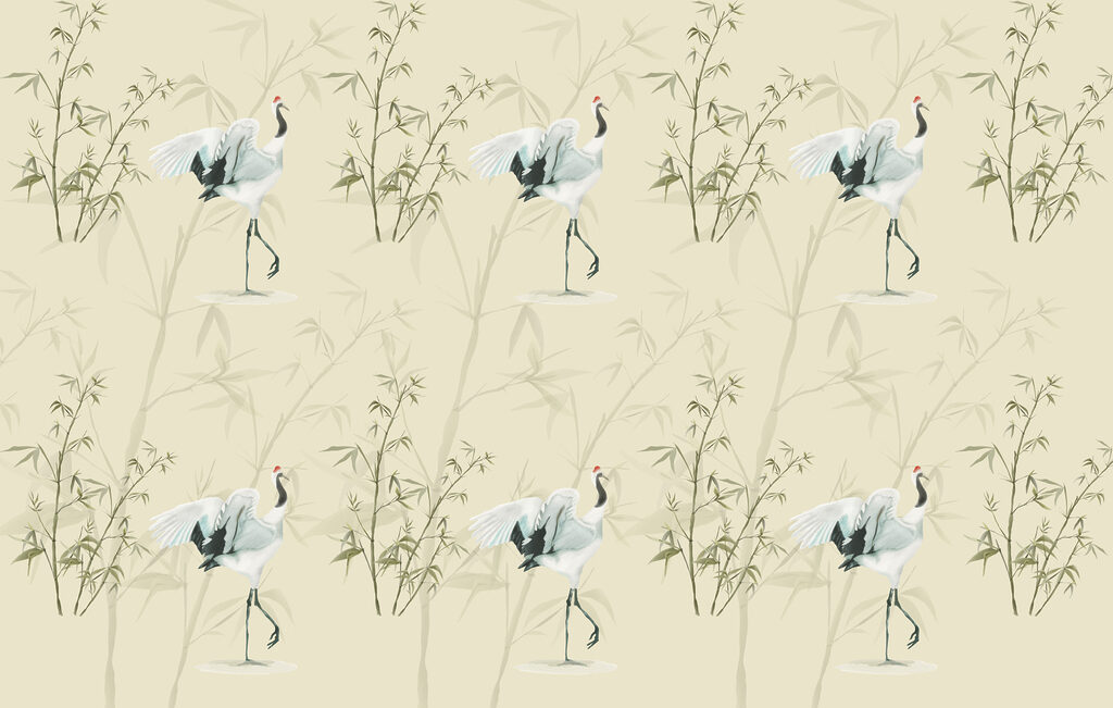 Immagine #1 da Jean C.