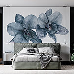 Carta da parati Delicate orchidee con rugiada mattutina