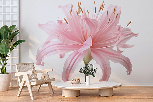 Petali delicati, tonalità rosa tenue Carta da parati Petali delicati, tonalità rosa tenue
