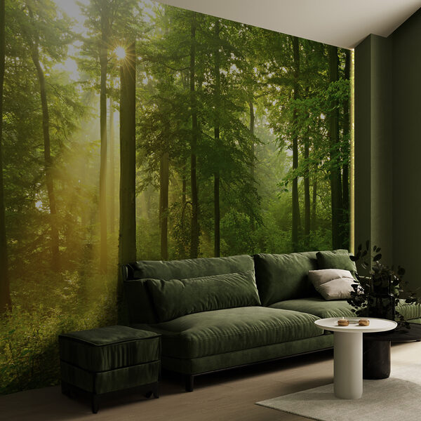 Carta da parati murale La luce del sole attraversa la foresta lussureggiante