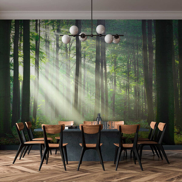 Carta da parati murale Raggi di sole che attraversano la foresta