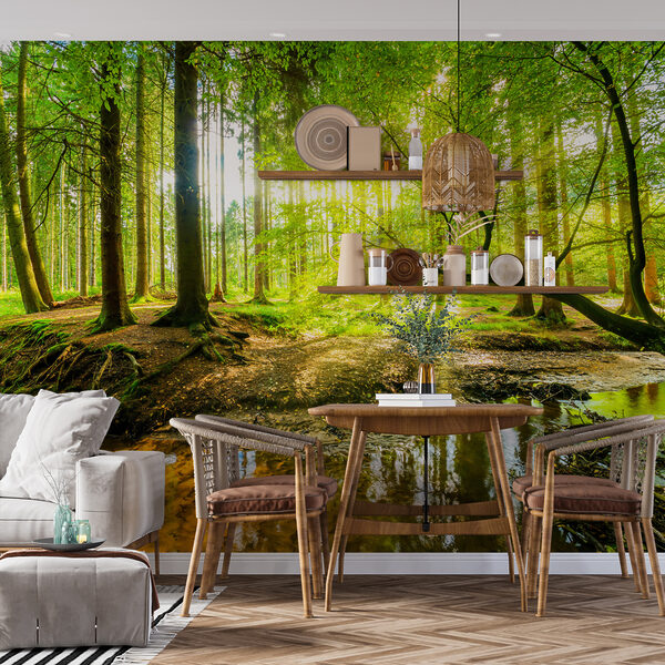 Carta da parati murale Foresta con alberi e sole che splende attraverso gli alberi