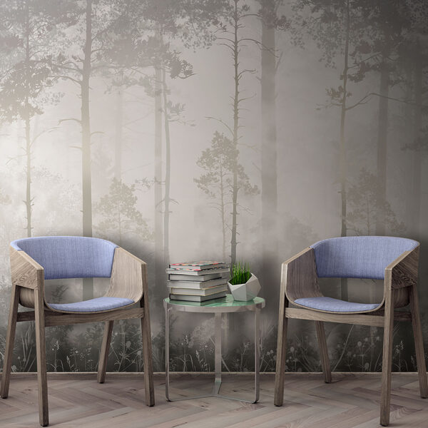 Foresta nebbiosa, mattinata dolcemente illuminata Carta da parati murale Foresta nebbiosa, mattinata dolcemente illuminata