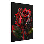 Stampa su tela Rosa rossa con petali scuri e bagnati