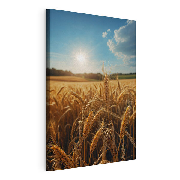 Campo di grano con il sole che splende sullo sfondo Stampa su tela Campo di grano con il sole che splende sullo sfondo
