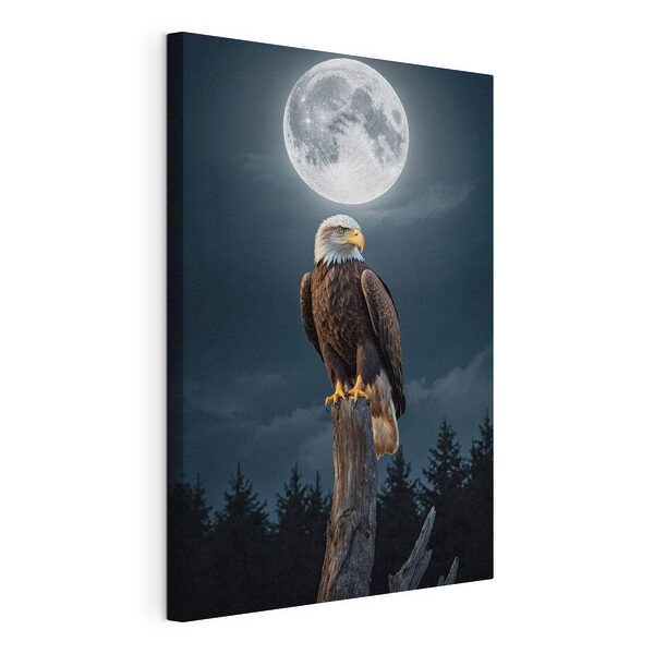 Aquila calva su un palo con la luna piena sullo sfondo Stampa su tela Aquila calva su un palo con la luna piena sullo sfondo