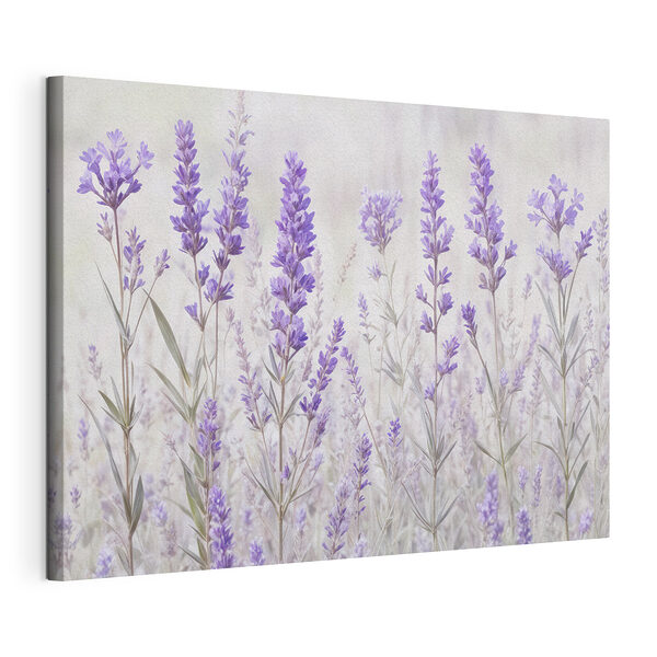 Stampa su tela Mazzo di fiori viola
