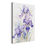 Stampa su tela Delicati iris viola in fiore