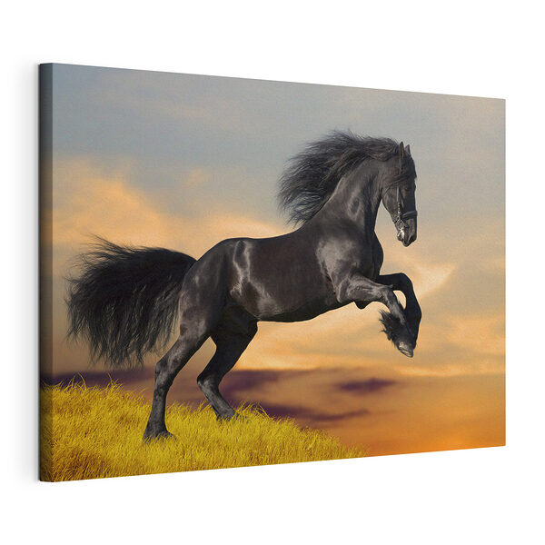 Stampa su tela Maestoso cavallo che salta al tramonto