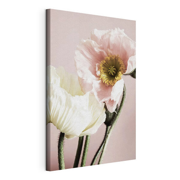 Petali delicati che avvolgono una luce soffusa Stampa su tela Petali delicati che avvolgono una luce soffusa