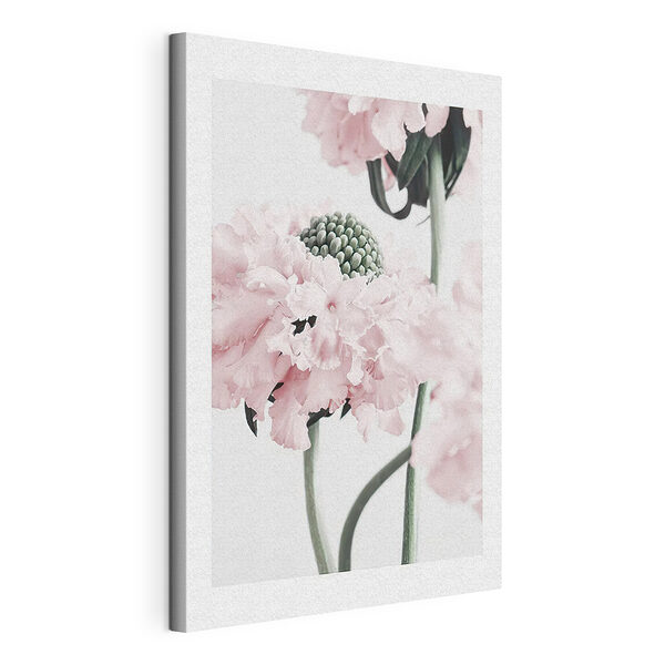 Stampa su tela Fiori delicati dai tenui toni pastello