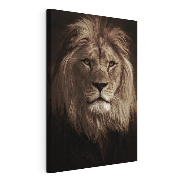 Maestoso leone dallo sguardo potente Stampa su tela Maestoso leone dallo sguardo potente
