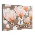 Stampa su tela I fiori di magnolia in fiore in primavera