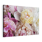 Stampa su tela Peonie morbide dai delicati colori pastello