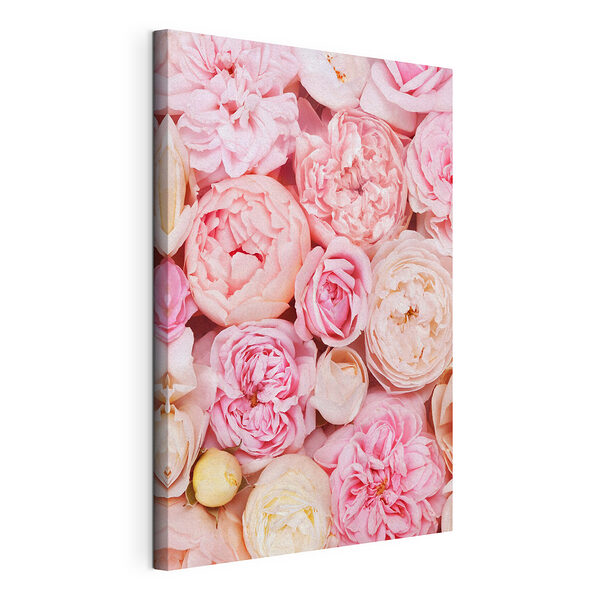Stampa su tela Rose in fiore dai colori rosa e crema
