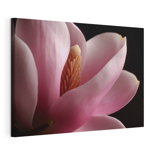 Stampa su tela Una delicata magnolia rosa in fiore