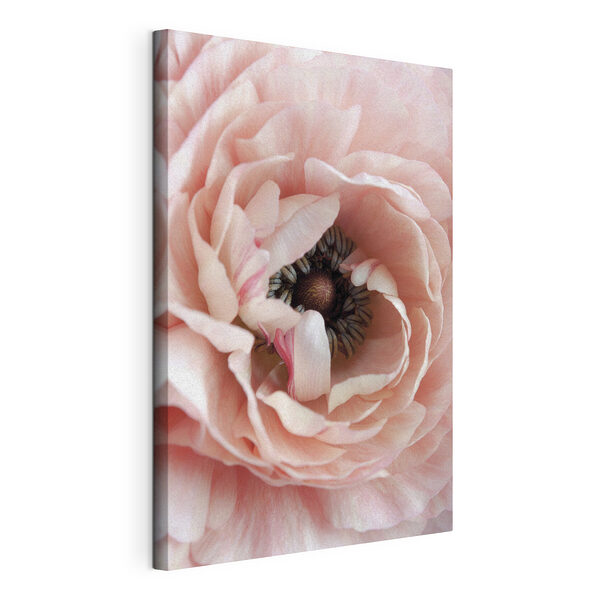 Stampa su tela I petali rosa racchiudono segreti delicati