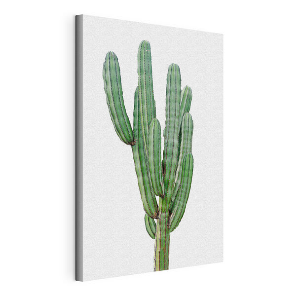 Stampa su tela Cactus con steli verdi lunghi e sottili