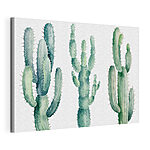 Stampa su tela Gruppo di cactus su sfondo bianco