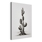 Stampa su tela Cactus su sfondo bianco