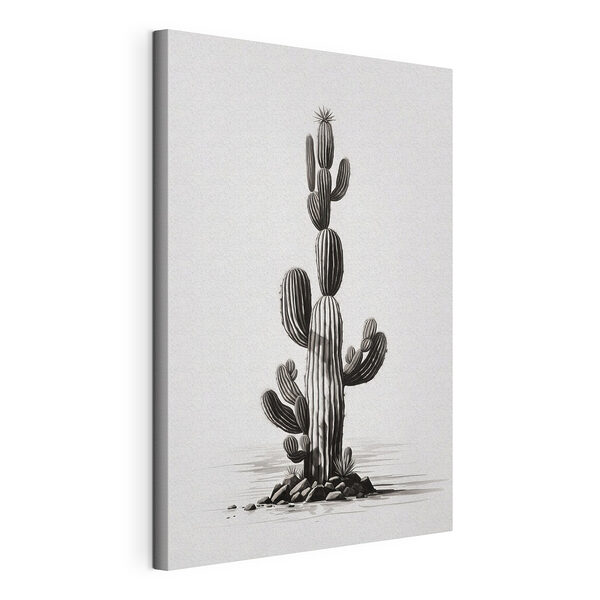 Cactus su sfondo bianco Stampa su tela Cactus su sfondo bianco