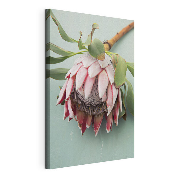 Fiore di protea appoggiato su un tavolo Stampa su tela Fiore di protea appoggiato su un tavolo