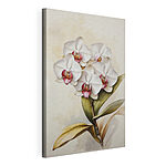 Stampa su tela Delicate orchidee in stile acquerello