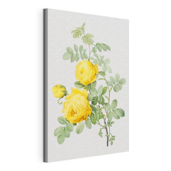 Fiore giallo con foglie verdi Stampa su tela Fiore giallo con foglie verdi