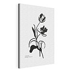Stampa su tela Disegno in bianco e nero di un fiore