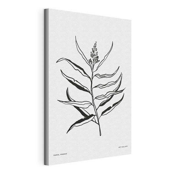 Stampa su tela Disegno in bianco e nero di una pianta