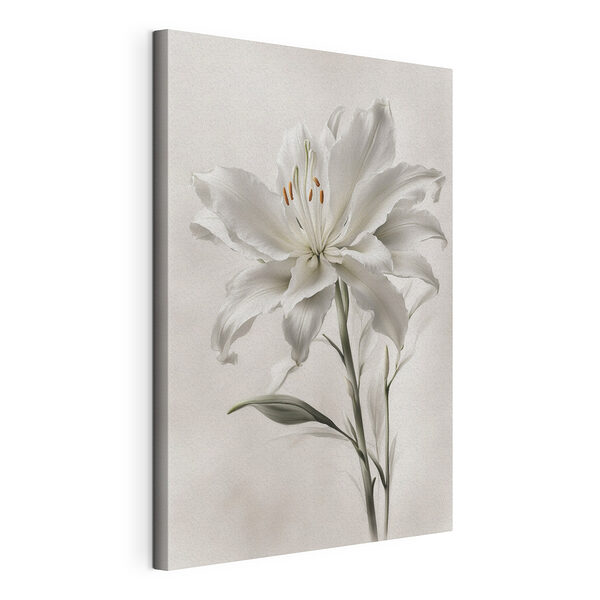 Stampa su tela Elegante giglio bianco in fiore
