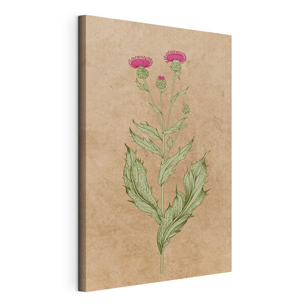 Disegno di una pianta Stampa su tela Disegno di una pianta