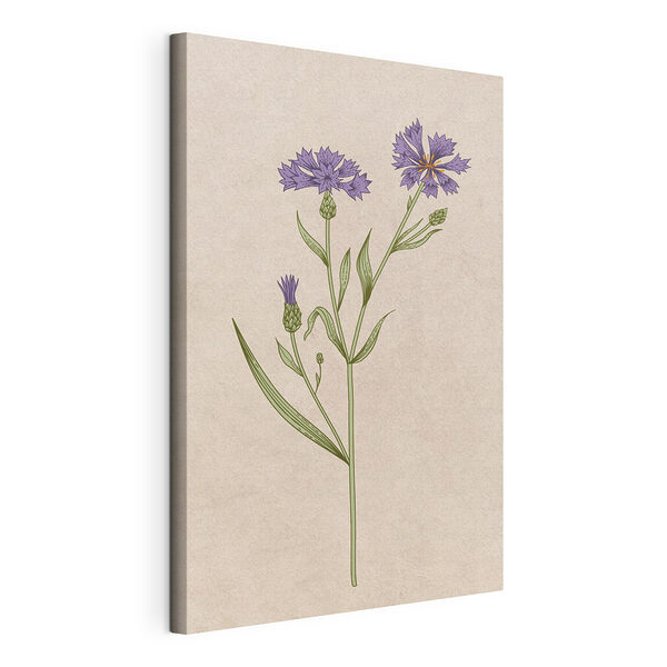 Fiore viola con il centro giallo Stampa su tela Fiore viola con il centro giallo