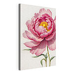 Stampa su tela Peonia rosa in piena fioritura