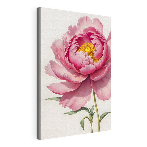 Peonia rosa in piena fioritura Stampa su tela Peonia rosa in piena fioritura