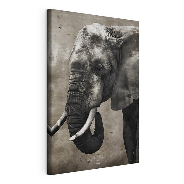 Stampa su tela Un elefante con le zanne