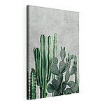 Stampa su tela Cactus assortiti su sfondo con texture