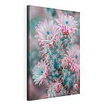 Stampa su tela Cactus in fiore dai toni pastello