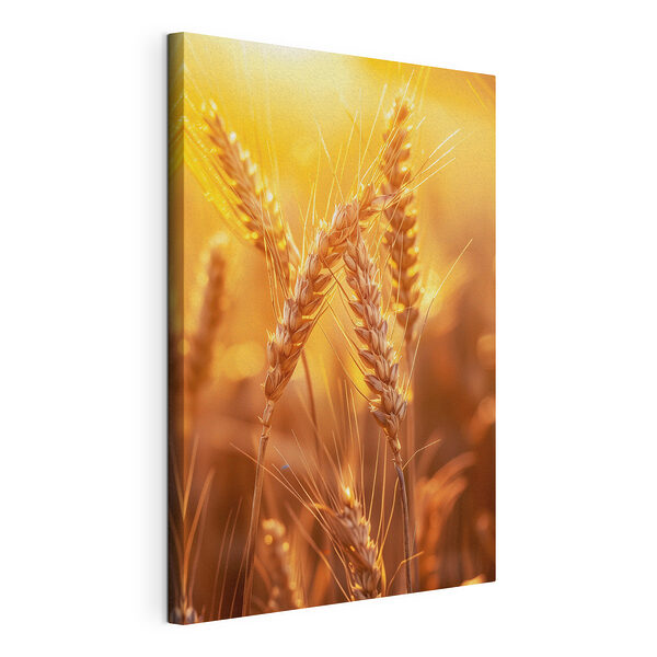 Stampa su tela Grano illuminato dal sole che ondeggia nella brezza