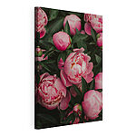 Stampa su tela Mazzo di fiori rosa