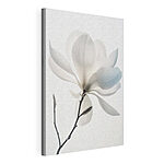 Stampa su tela Fiore bianco con foglie