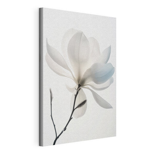 Stampa su tela Fiore bianco con foglie